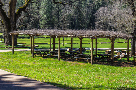 Branch Covered Picnic Area At Local Indian Groundsの写真素材