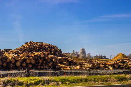 Pile Of Logs Waiting To Go To Millの写真素材