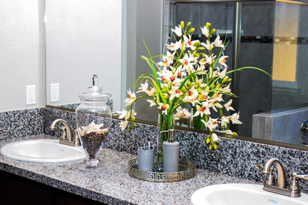 Modern Bathroom With Flowers & Lotionsの写真素材