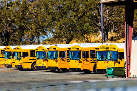 Row Of School Buses