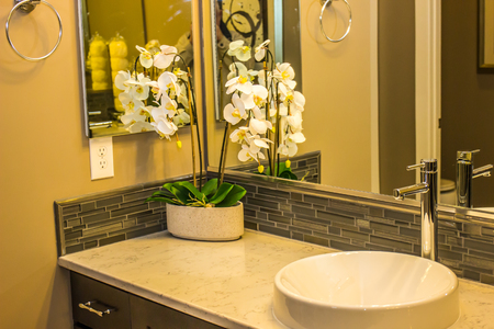 Modern Bathroom With Corner Plant & Unique Sinkの写真素材