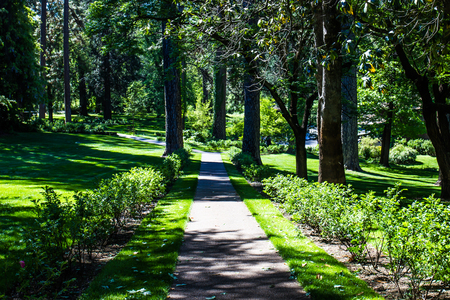 Quiet Walkway Thru Landscaped Parkの写真素材