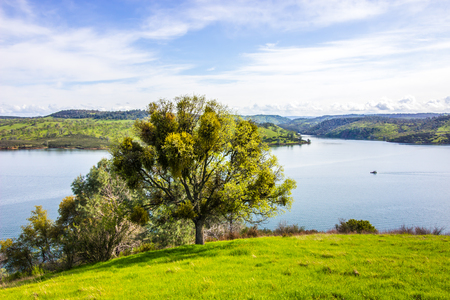 Tree On Hillside Overlooking Large Reservoirの写真素材