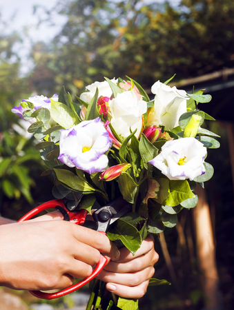 Bouquet of flowers in florist woman arms. Phuket, Thailandの写真素材