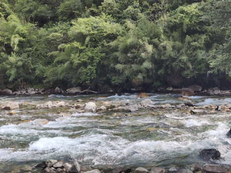 River in the forest. Mountain river. Mountain river. Mountain river.の写真素材