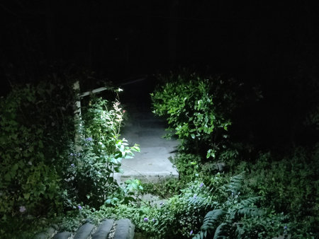 Night scene of the entrance to the house in the forest, closeup of photoの写真素材