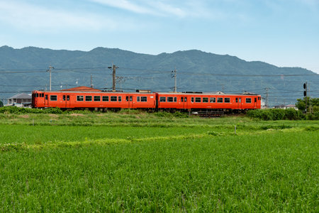 Type kiha47 passing by the ricefield forms a high contrasting color.の写真素材