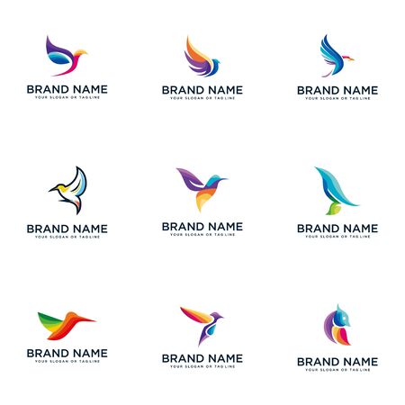 full color bird design  vector templateのイラスト素材