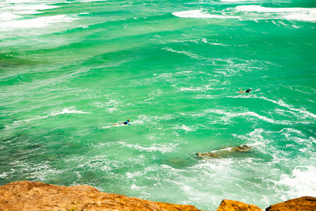 back to the natureの写真素材