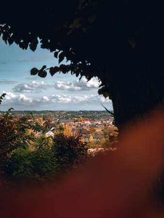 A tree is framing the scene of buildings in the distanceの写真素材