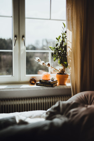 Looking out the window past the decorの写真素材