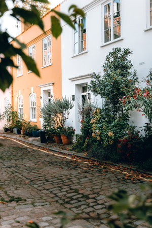 Pretty mews in London with a cobbled streetのeditorial素材