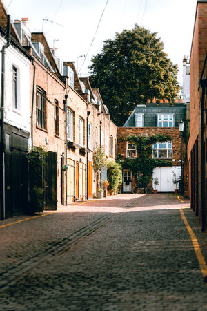Mews houses in London on a sunny dayのeditorial素材