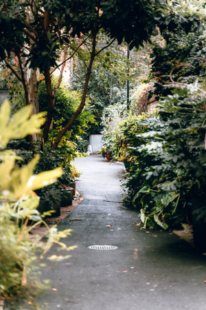 Path in London garden, showcasing natural beauty and vibrant colors.の写真素材