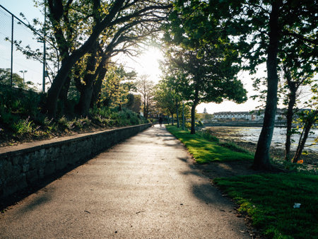 The pathway next to the river is bathed in warm sunlight, creating a peaceful atmosphere. Lush trees provide shade along the walk, inviting relaxation and leisurely strolls.の写真素材