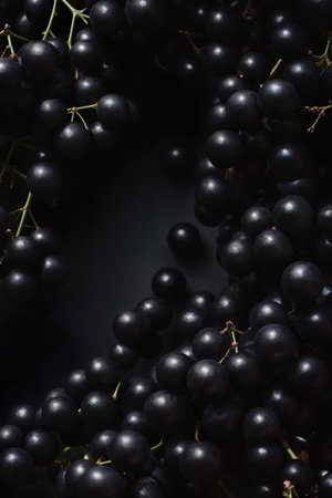 Black grapes on a black background. Top view. Copy space.の素材