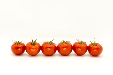 Row of tomatoesの写真素材