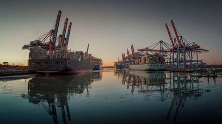Container terminal in the port of Hamburg in the eveningの写真素材
