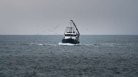 Fishing boat on sea with many seagullsの写真素材