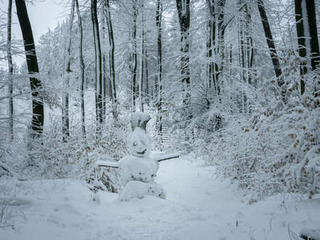 A beautiful picture of a snowman or snowwoman, an intresting photoの写真素材