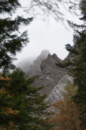 Rocks and fog seen through treesの写真素材