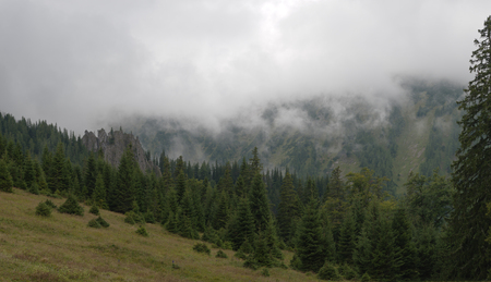 Meadow in the Austrian alps with cloudy weatherの写真素材