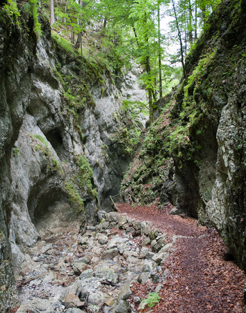 Hiking on the Falkenschlucht in Styria, Austriaの写真素材