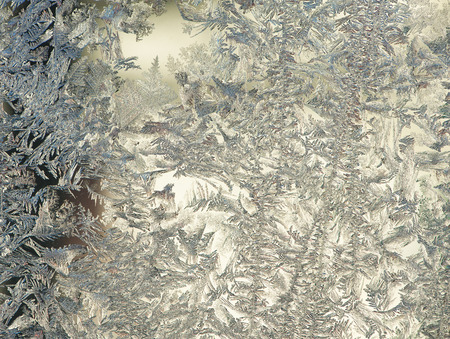 Frost flower on a windowの写真素材