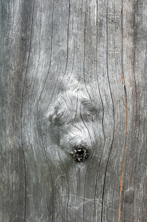 Silver wood texture with 3 knotholes in itの写真素材
