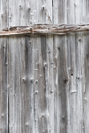 Silver wood texture with knotholes in itの写真素材