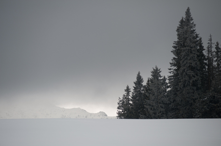 Foggy and cold day at the Veitsch in Styriaの写真素材