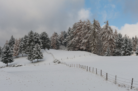 Crossed fence in a winter landscapeの写真素材