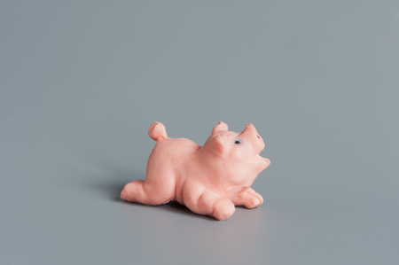 Cute little funny New Years Pigの写真素材