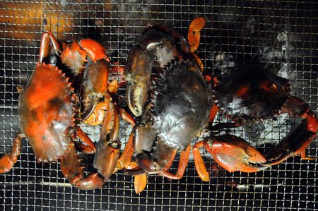 barbeque fresh seafoodの写真素材