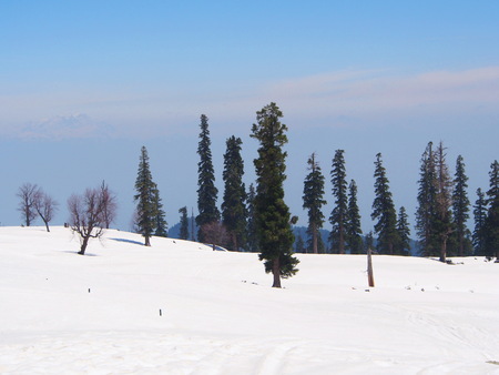 Beautiful  Tree and Snow Mountain and field. Sonamarg, Kashmir, India in Winter Timeの写真素材