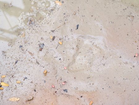 Dirty Dry Saline Soil Grunge Surface with small leaves. Abstract Backgroud Concept.の写真素材