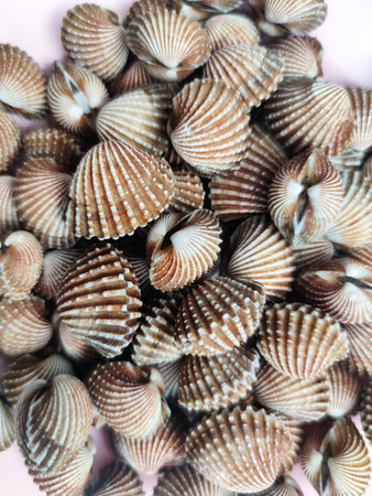 Tegillarca granosa or also known as a cockle , Blood clam. Close Up Shot. After Cooked. With Thai Spicy Seafood Sauce. Popular Local Thai Food.の写真素材