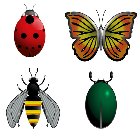 Color set of four bugsのイラスト素材