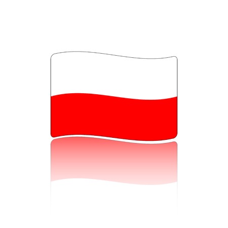 Poland flag. Made in vectorのイラスト素材