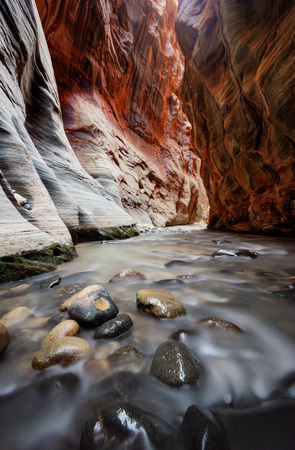 The Narrows Zion National Parkの写真素材