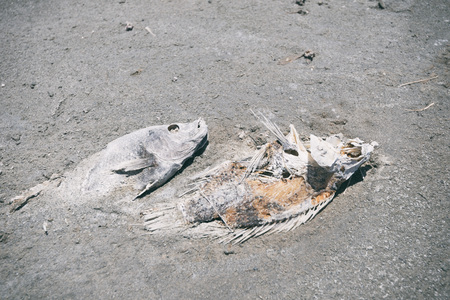 Salton Sea Bombay Beach taken in 2015の写真素材