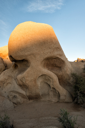 Joshua Tree Sunset taken in 2015の写真素材