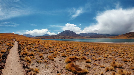 Chile Atacama Desert taken in 2015の写真素材