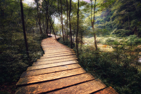 Zhangjiajie National Forest Park China taken in 2015の写真素材