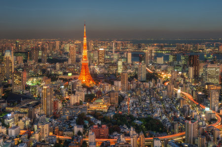 Tokyo Skyline, Japan taken in 2014のeditorial素材