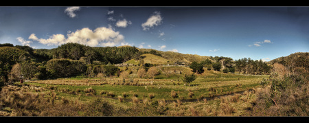 Makara New Zealand