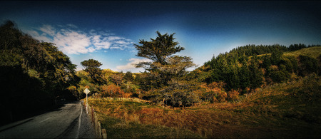 Makara New Zealand