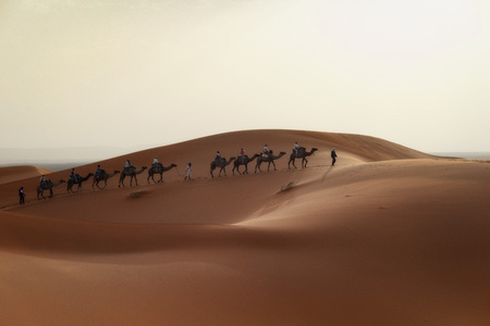 Sahara Desert Morocco taken in 2015の写真素材