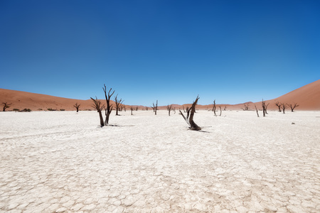 Dead Vlei in Naukluft National Park, Namibia, taken in January 2018の写真素材