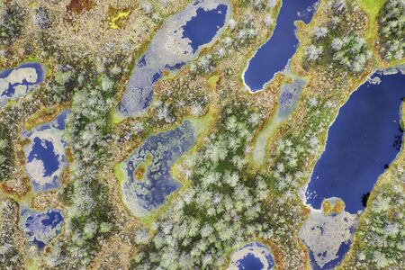 Viru Bog on a cloudy morning, east of Tallinn, Estonia, taken in May 2019